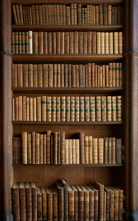 Old Library Bookshelf