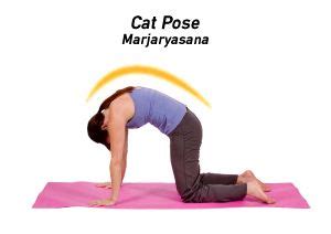 This is a good complement to the cat stretch. Cat Pose — Marjaryasana (mahr-jahr-ee-AHS-uh-nuh) — for a ...