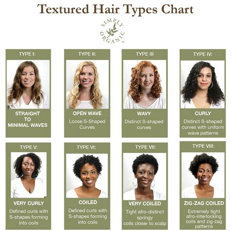 hair types acording to nature hair guide — steemit