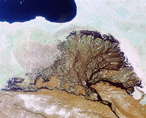 Space In Images 2006 06 Russias Lena River Delta As Seen By Envisat