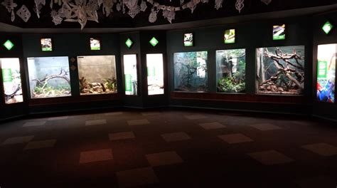 Dec 2017 Small Mammal Reptile House View Zoochat