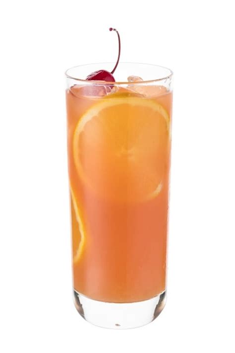 Alabama Slammer Cocktail The Original Recipe With Southern Comfort
