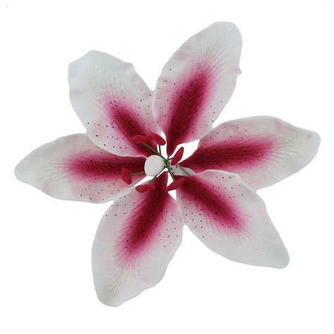 Global Sugar Art Stargazer Lily White Pink Sugar Flowers Extra