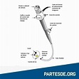 Partes del Endoscopio - PartesDe.org