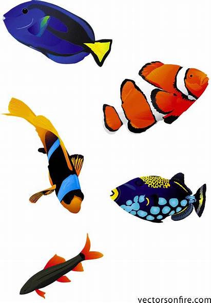 Fish Transparent Clip Colorful Coral Reef Clipart