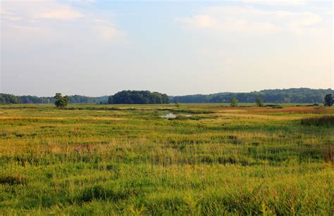 The Prairie Landscape At Chain O Lakes State Park Illinois Image