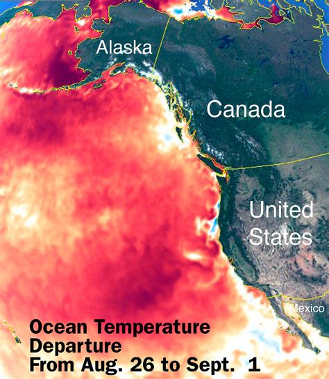 New Marine Blob Forms Off West Coast Peninsula Daily News