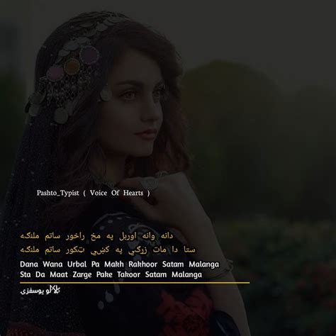 Pashto Poetry Pashto Quotes Poetry Quotes
