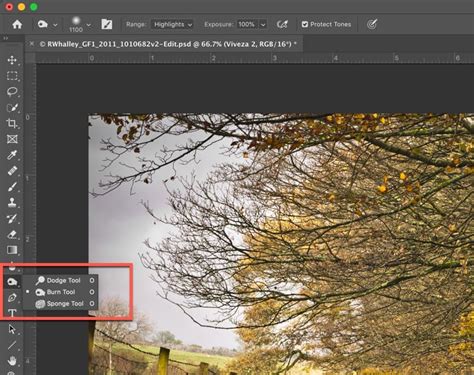 Mastering The Photoshop Dodge And Burn Tools Lenscraft