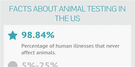 Facts About Animal Testing In The Us Infogram