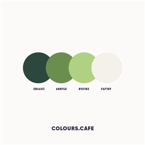 Beautiful Color Palettes For Your Next Design Project Green Colour My