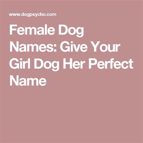 Female Dog Names Give Your Girl Dog Her Perfect Name Female Dog