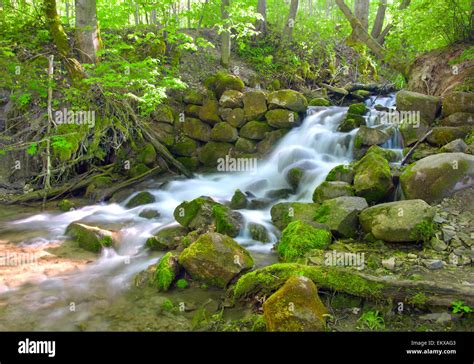 Beautiful Cascade Waterfall In Green Forest Stock Photo Alamy