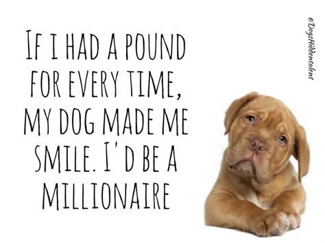 Blessed And Rich In Unconditional Love This Is Sooooo True Dog