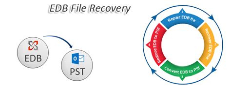 Edb File Recovery Via Fruitful Exchange Edb Recovery Software 7295