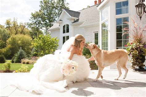 Bride With Her Dog Bridal Portrait With Dog Chicago Wedding
