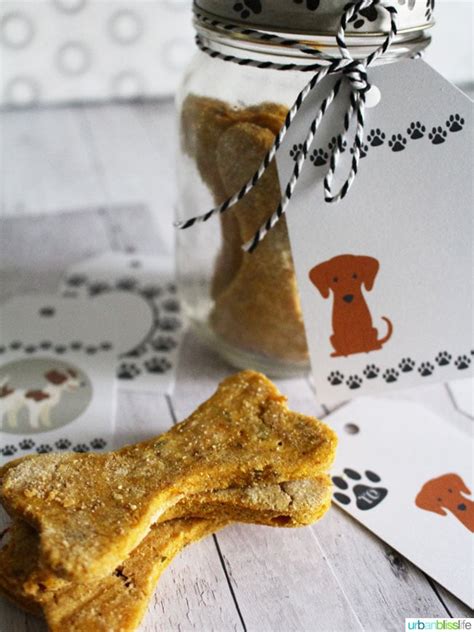 Easy Homemade Peanut Butter Pumpkin Grain Free Dog Treats