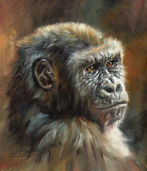 Ape Paintings