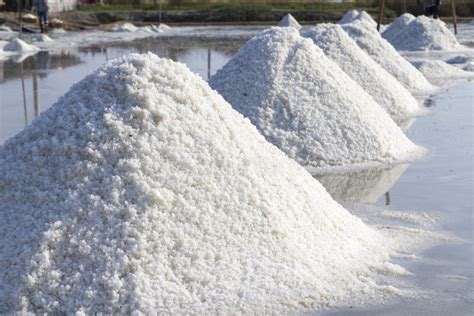 The Making Of Sea Salt In Salt Farm Stock Photo Image Of Seasoning