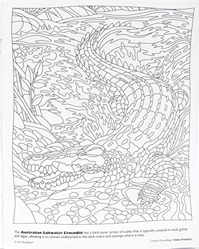 Hidden Animal Camouflage Coloring Pages Printable Top 10