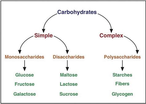 A Closer Look At Carbohydrates Lifestyle Changes