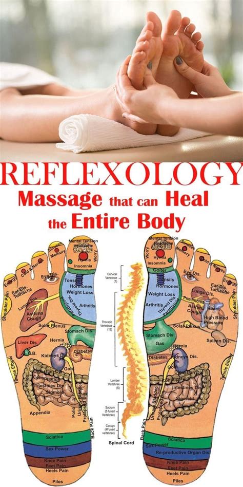 Reflexology Massage That Can Heal The Entire Body Modern Design