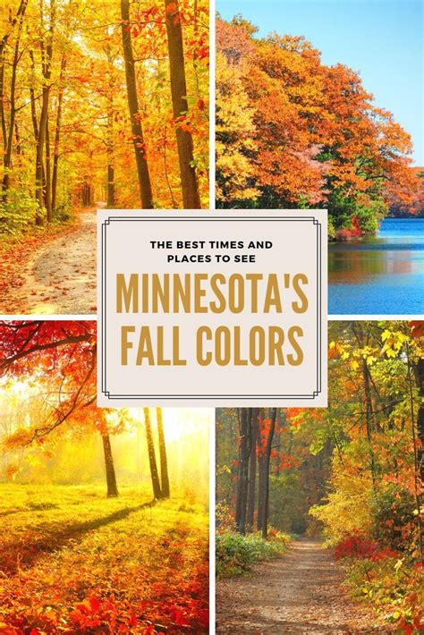 20 Best Places To See Fall Colors In Minnesota Artofit