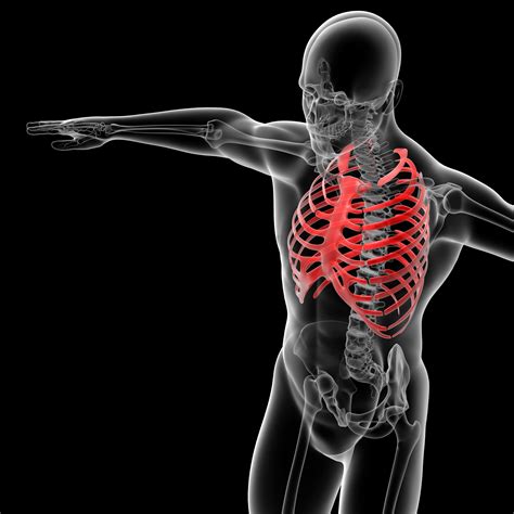 Improve Your Posture And Back Health With Rib Cage Lifts