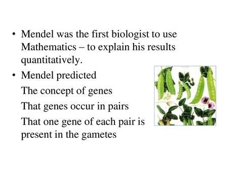 Genetics Mendelian Principles Online Presentation