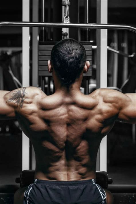The Best Back Workouts For Mass And Hypertrophy Legion Back Workout
