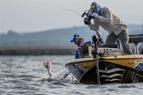 These vehicles are of consistently high quality. B.A.S.S., LLC - Anglers Hookup