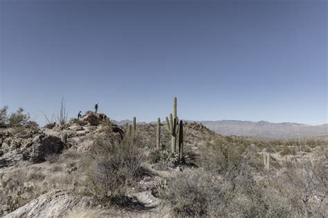 220203 Saguaro National Park Tucson Arizona Rzc9155 Grasping For