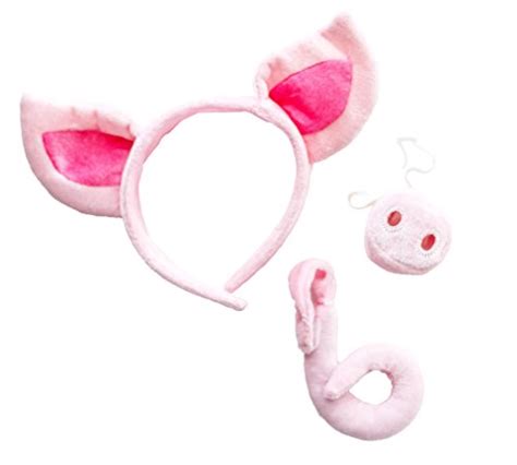 9 Best Piggy Ears