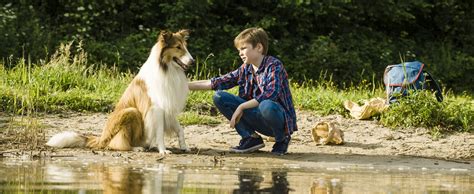 Lassie Eine Abenteuerliche Reise Film Rezensionende