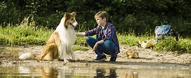 Lassie – Eine abenteuerliche Reise | Film-Rezensionen.de