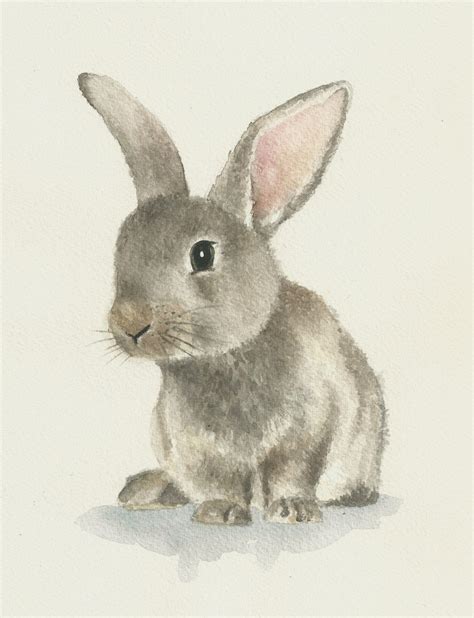 Rabbit Watercolor Original Bunny Painting