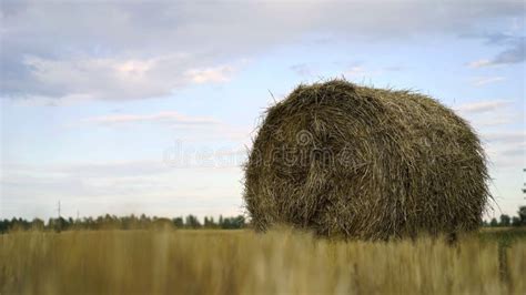 Aerial A Haystack In The Field Harvesting Agriculture Straw Stock