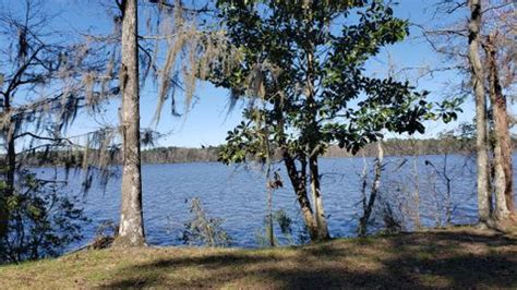 2023 Best Views Trails In Lake Talquin State Forest Alltrails