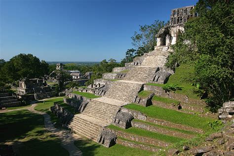 Palenque Temple Wikilinkwikipalenque Tan Yilmaz