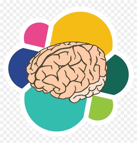 Cerebro Vector Brain No Background Psychology Free Transparent PNG