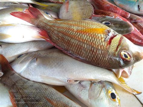 Ikan seluang merupakan ikan yang banyak terdapat di sungai di daerah asia tenggara, termasuk malaysia, brunei, dan indonesia 4. AMIE'S LITTLE KITCHEN: Kenali Pelbagai Jenis Ikan di ...