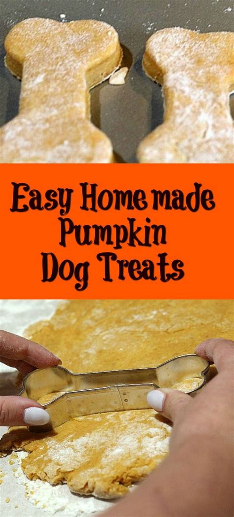 Easy Pumpkin Dog Treat Recipe Recipe Easy Pumpkin Dog Treat