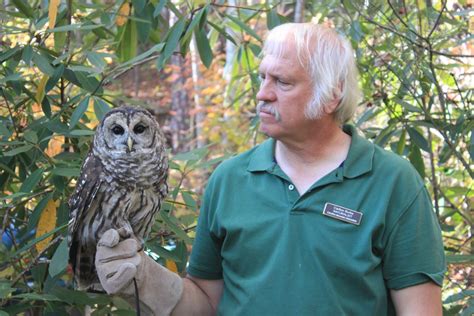 What Is Wildlife Rehabilitation An Introduction To Helping Injured And