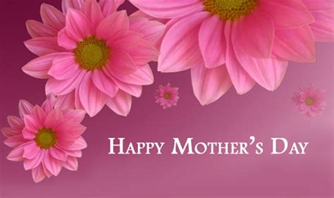 The history of mother's day. Mother's Day - Suddenly Senior