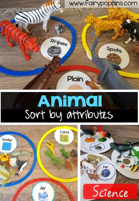 Animal Sort And Classify Animal Activities For Kids Zoo Animals