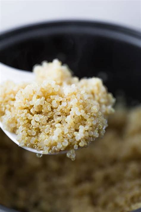 How To Cook Quinoa In A Rice Cooker Recipe Cart