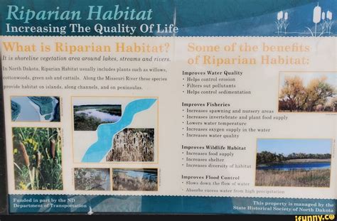 Riparian habitat definition from encyclopedia dictionaries & glossaries. Riparian Habitat Increasing The Quality Of Lift It is ...