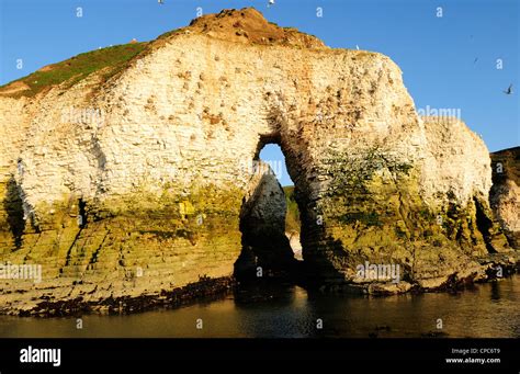 Flamborough Head East Riding Yorkshire Coast England Stock Photo Alamy