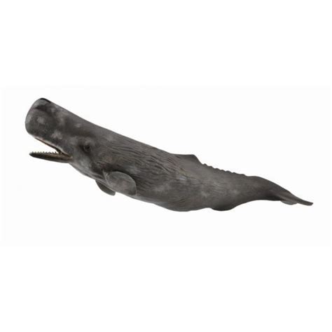 Balena Casalot Animal Figurina Estetoro