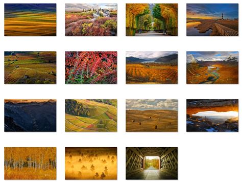 Bing Fall Colors Theme For Windows 10 Download